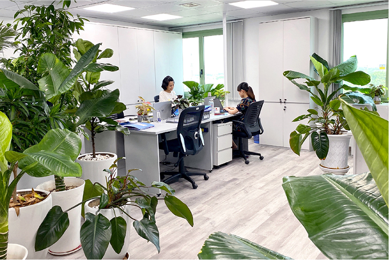 Location Hai Phong Office Location Hai Phong Office