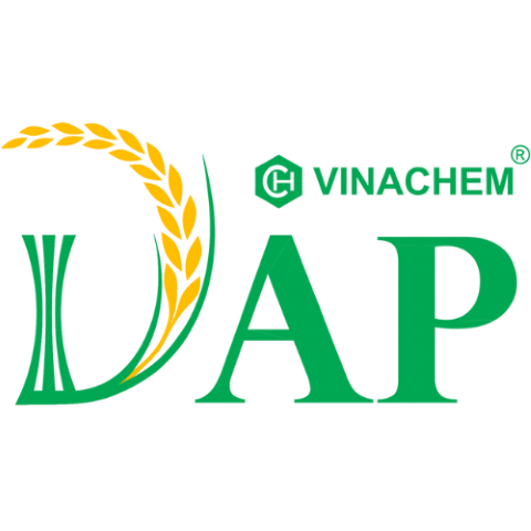 137 Dap Vinachem 137 Dap Vinachem