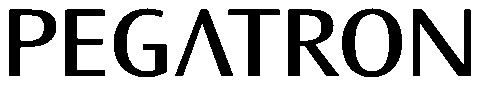 53 Pegatron 53 Pegatron